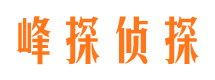 颍州外遇出轨调查取证